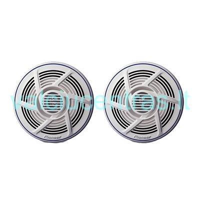 Pioneer 100W speakers